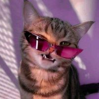 suara asli - yourfavtemplate