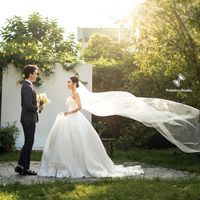 nhạc nền - Palatino Media