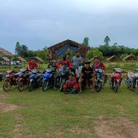 .kan31