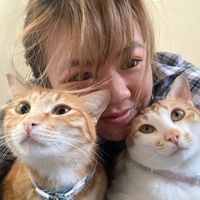 nhạc nền - Gia Đình 4 Người