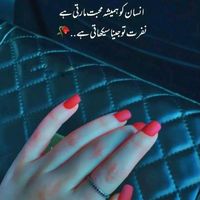 user881397806