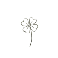 我期待的不是雪