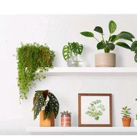 suara asli - Esti Handayani