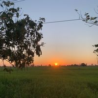 เสียงต้นฉบับ - 2008.🤍