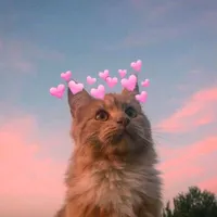 original sound - aesvxge__