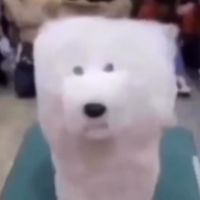 idknugg
