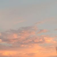 เสียงต้นฉบับ - NITIPON  X  FS (รับตัดคลิป)