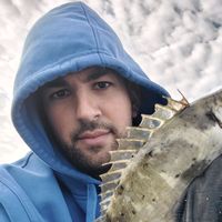 deliciousbait