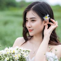 nhạc nền - bằng lăng tím