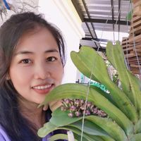 เสียงต้นฉบับ - ขวัญข้าวสายเสก