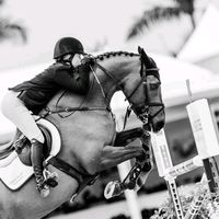 equestrian....edits_