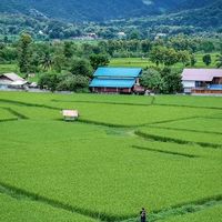 เสียงต้นฉบับ - ploy ploy