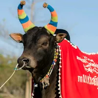 original sound - dlw_xitho