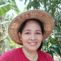 เสียงต้นฉบับ - Rungtip Kongchin