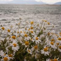 nhạc nền - english_with_rua