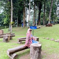 nurmalitanandaa