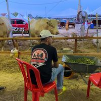 original sound - paknan___