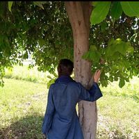 ayeshaidrees10