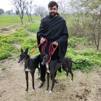 original sound - ranasandhu972