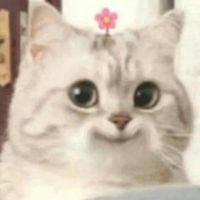 เสียงต้นฉบับ - • tape •