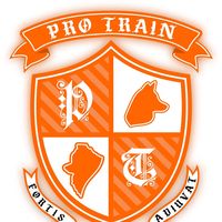 original sound - Pro Train