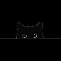 suara asli - nadptrltr