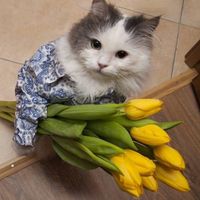 yuji_zzzx