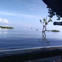 suara asli - Momoruedel