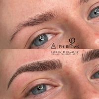 lorendermodyphibrows