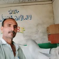 gullzaman803