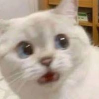 原聲 - 麻辣鴨血🤡