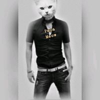 papameow4071