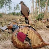เสียงต้นฉบับ - เกียรติช่วงล่างนกเขาใหญ่🦜