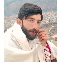 awaissardar43