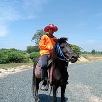 aokok220752
