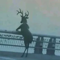 original sound - itsyou4321