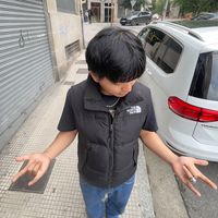 domichino_04