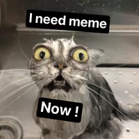 original sound - ineedmemenow