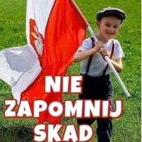 andrzejsandomir