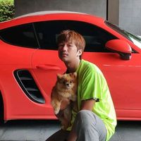 kot_green