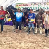 เสียงต้นฉบับ