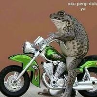 suara asli - @Kodok_ho