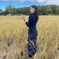 เสียงต้นฉบับ - dada