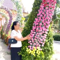 សំឡេងដើម - Mary Kan