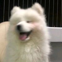 เสียงต้นฉบับ - ♡︎