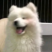 original sound - ozonn_q