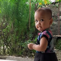 suara asli - kilat kuning