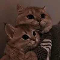 original sound - they_call_me_army_1