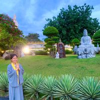 âm thanh gốc - 🌼 HOA HẠNH 1991 🌼