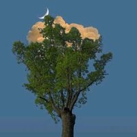 เสียงต้นฉบับ - Crÿ ♡︎